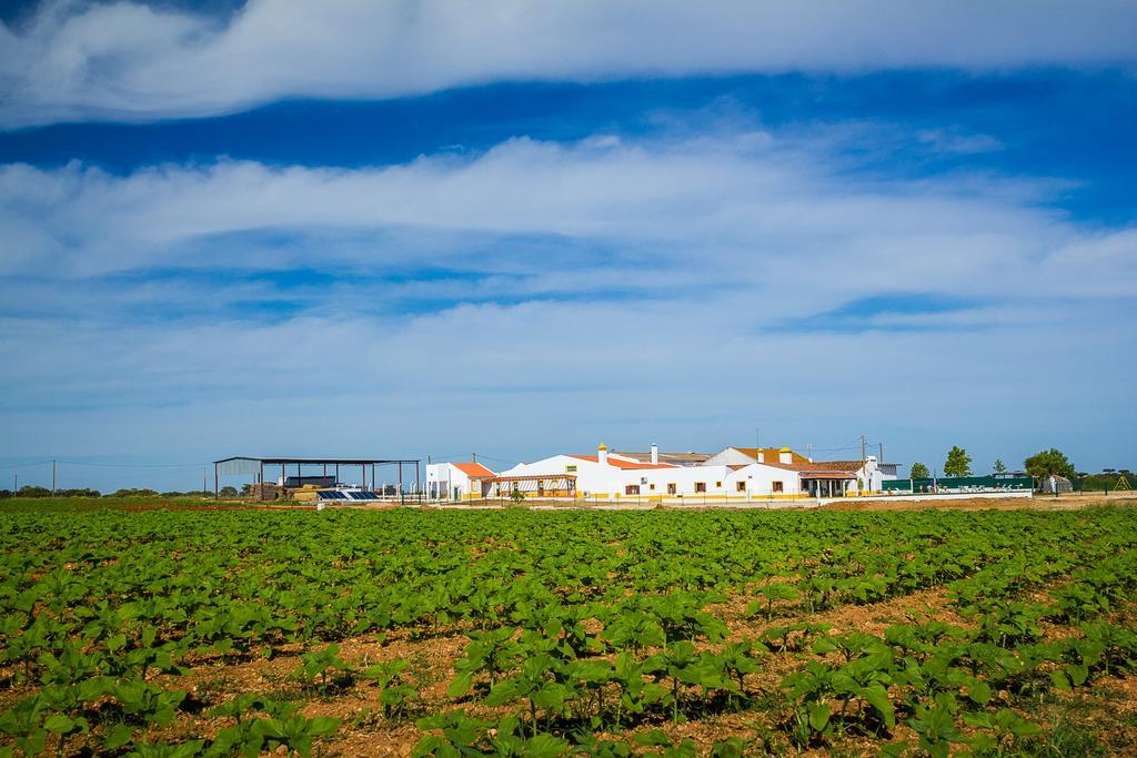 Agro-Turismo Do Roxo Pensionat Ervidel Eksteriør billede